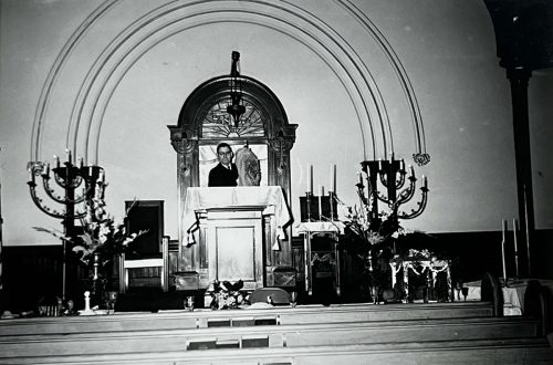 Vine Avenue sanctuary